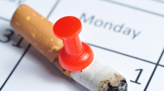 Veterans Day Post 1 1100x550