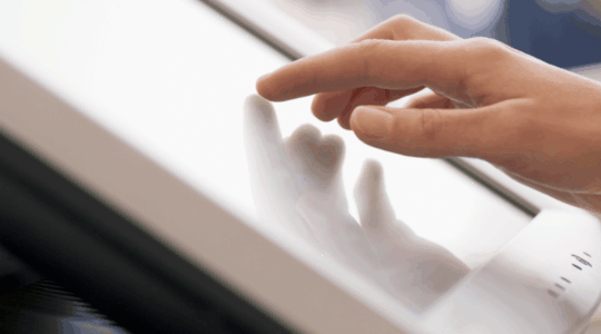 SB Employee Fraud 1600x600